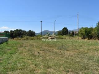 ΑΠΟΨΗ ΟΙΚΟΠΕΔΟΥ