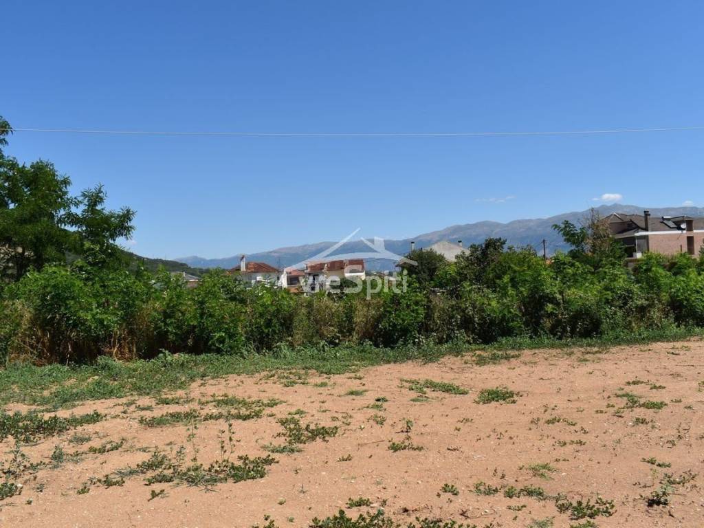 ΑΠΟΨΗ ΟΙΚΟΠΕΔΟΥ