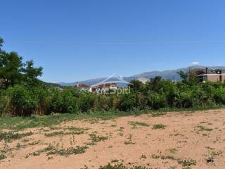 ΑΠΟΨΗ ΟΙΚΟΠΕΔΟΥ