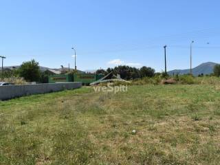 ΑΠΟΨΗ ΟΙΚΟΠΕΔΟΥ