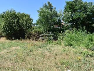 ΑΠΟΨΗ ΟΙΚΟΠΕΔΟΥ