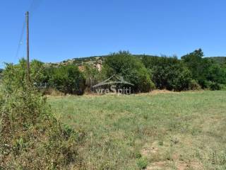 ΑΠΟΨΗ ΟΙΚΟΠΕΔΟΥ