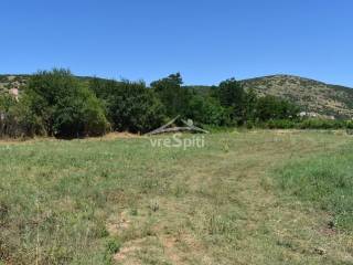 ΑΠΟΨΗ ΟΙΚΟΠΕΔΟΥ