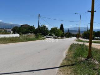 ΑΠΟΨΗ ΟΙΚΟΠΕΔΟΥ