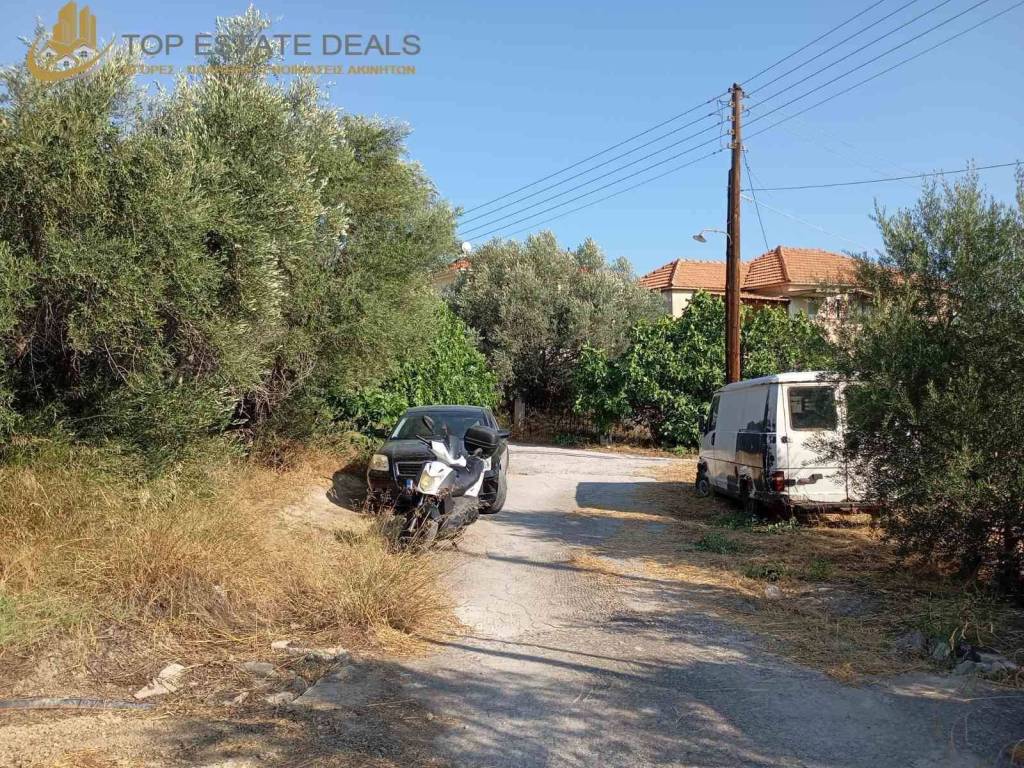 Αριστερά στις ελιές είναι το οικόπεδο