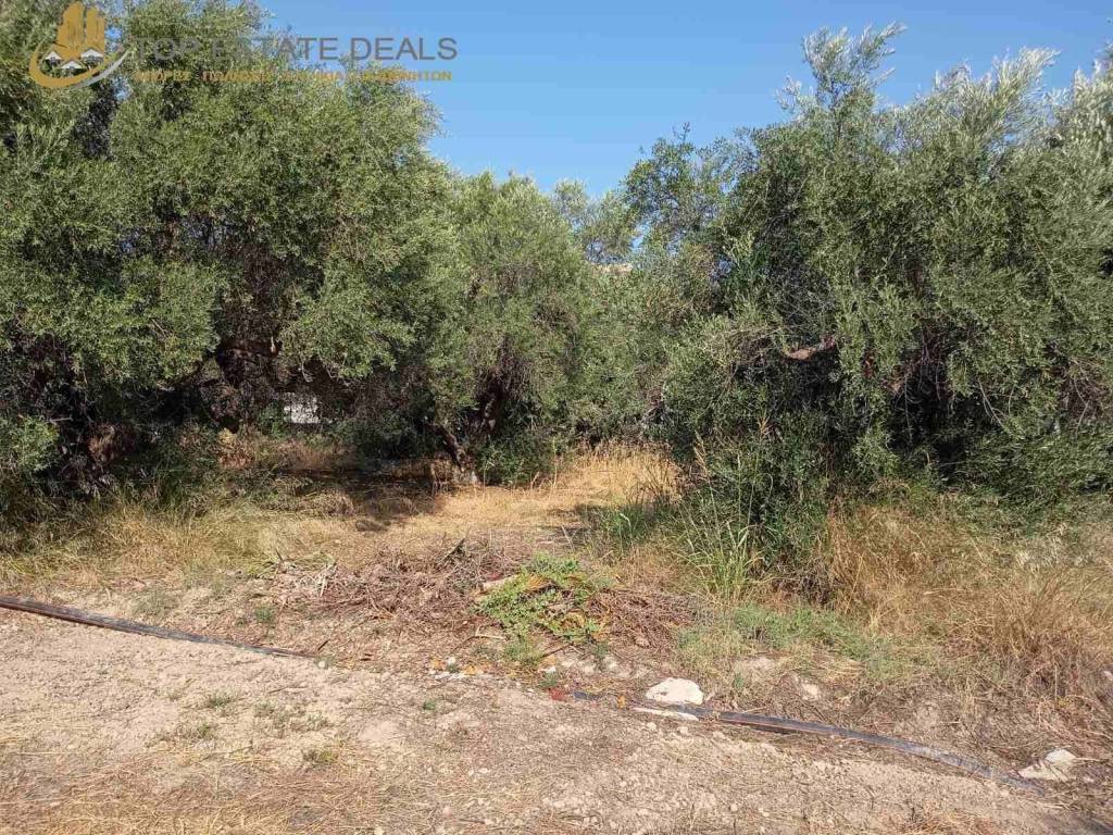 φάτσα οικοπέδου