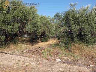 φάτσα οικοπέδου