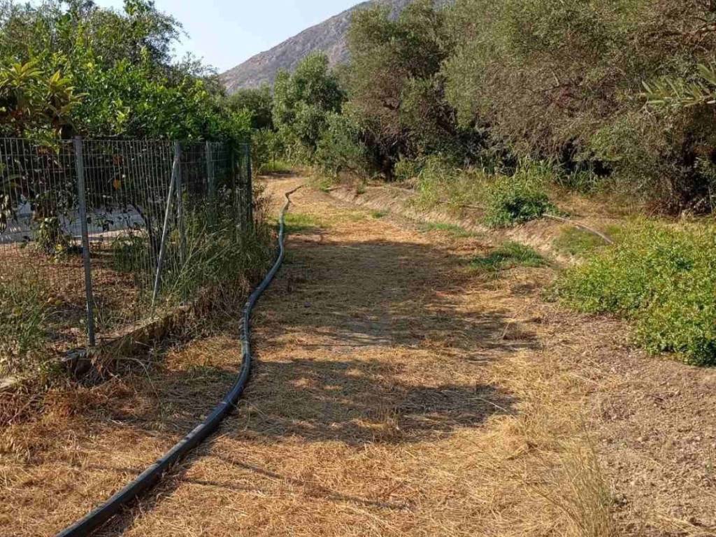 το οικόπεδο είναι στα δεξιά