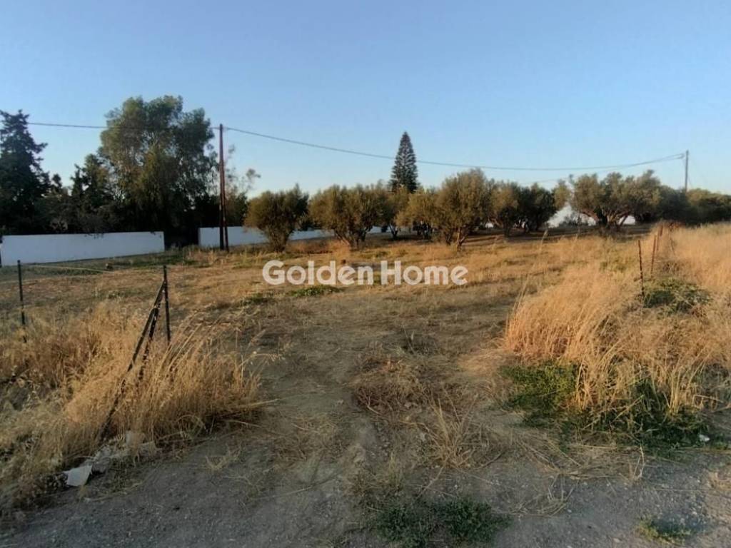 Εξωτερικός Χώρος