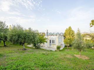 Άποψη κτήματος από το υψηλότερο σημείο του τμήματος ελαιώνα