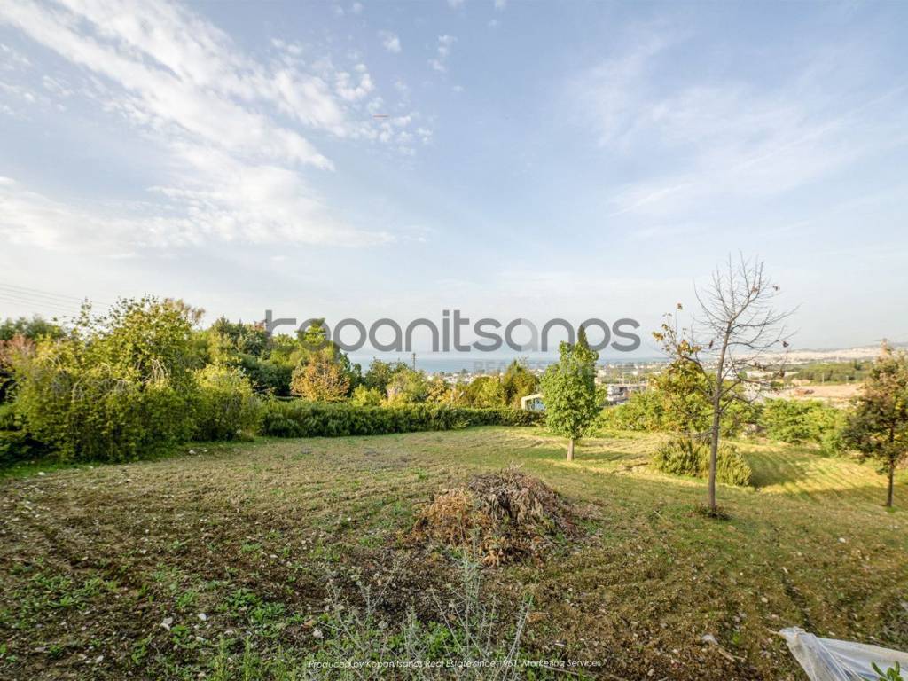 Καλλιεργήσιμο τμήμα του κτήματος