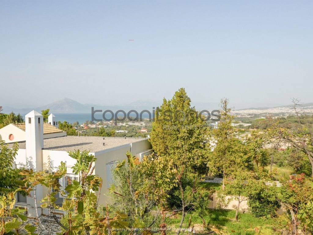 Άποψη κτήματος από τον ελαιώνα 