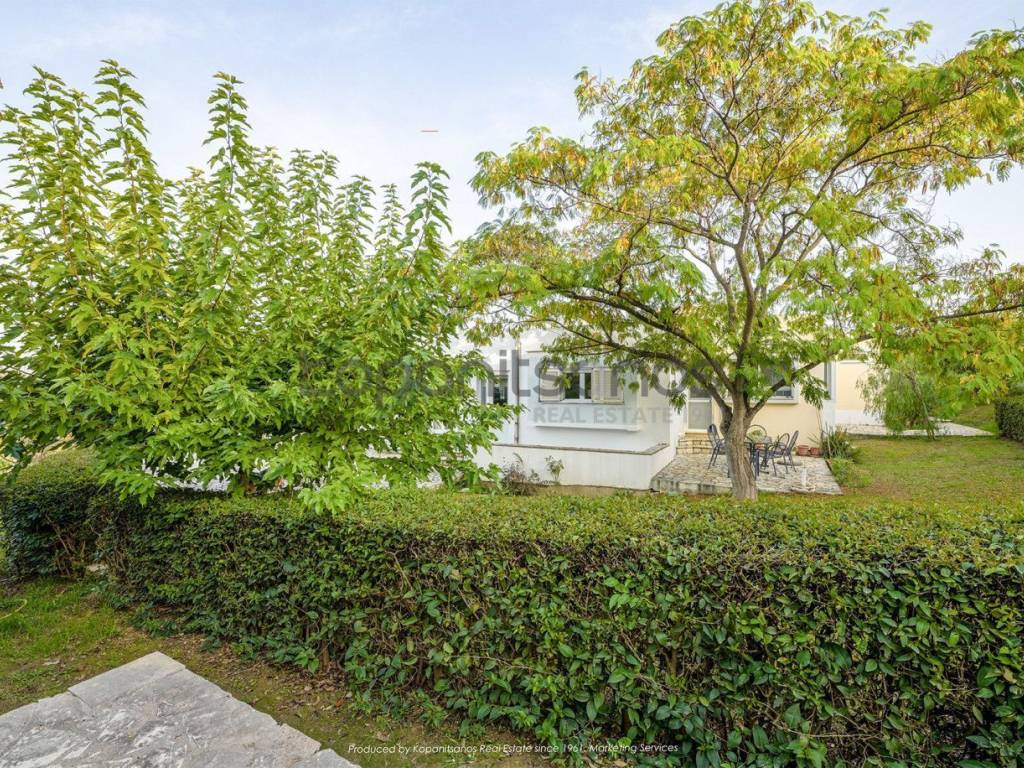 Δυτική πλευρά του κτήματος