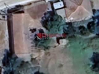 Ύπαρξη ανθρώπου