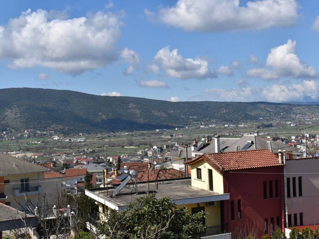 ΑΠΟΨΗ ΟΙΚΟΠΕΔΟΥ