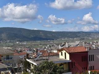 ΑΠΟΨΗ ΟΙΚΟΠΕΔΟΥ