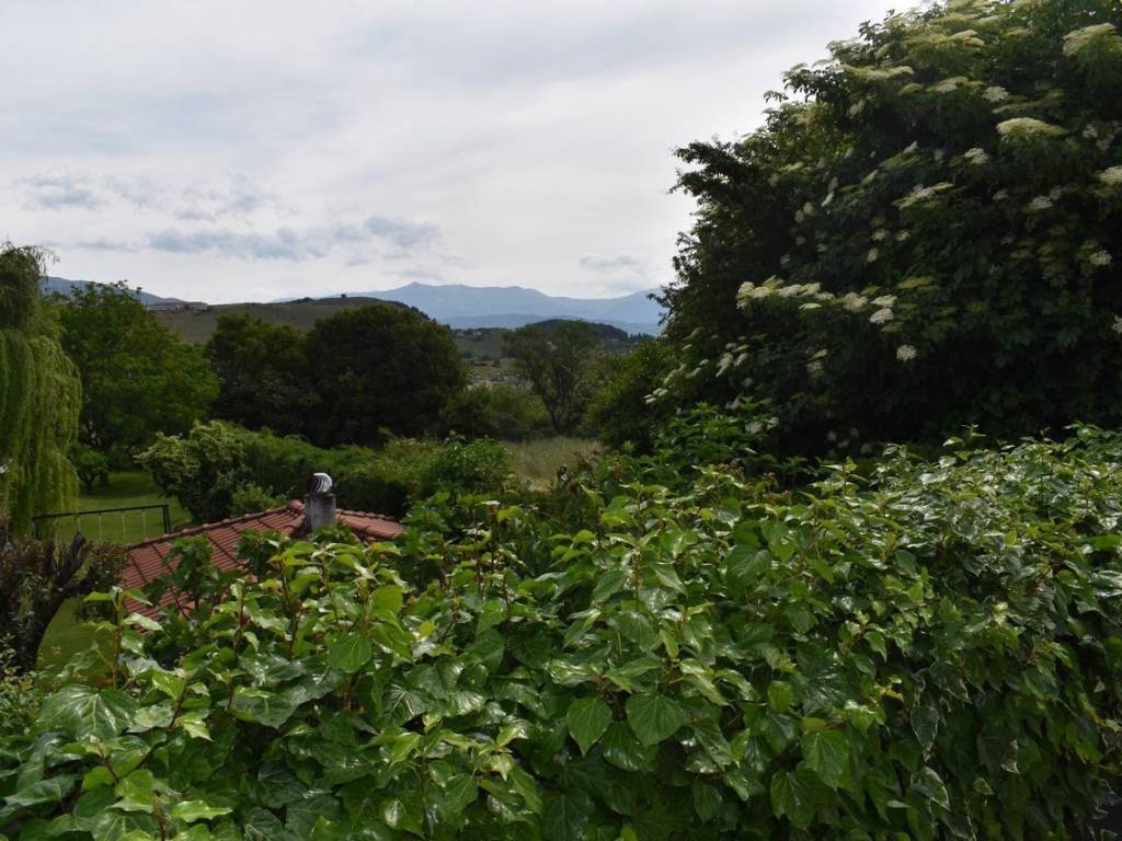 ΑΠΟΨΗ ΟΙΚΟΠΕΔΟΥ