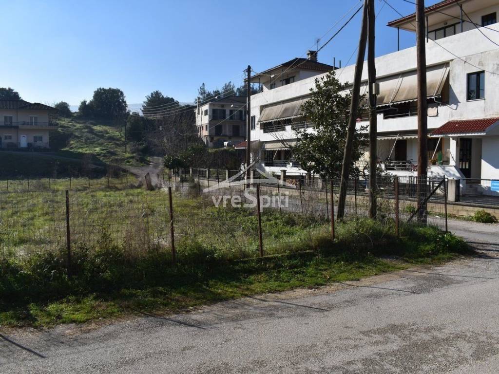 ΑΠΟΨΗ ΟΙΚΟΠΕΔΟΥ