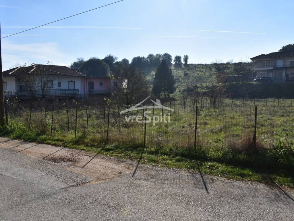 ΑΠΟΨΗ ΟΙΚΟΠΕΔΟΥ