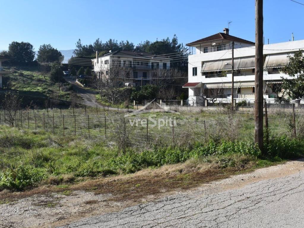 ΑΠΟΨΗ ΟΙΚΟΠΕΔΟΥ