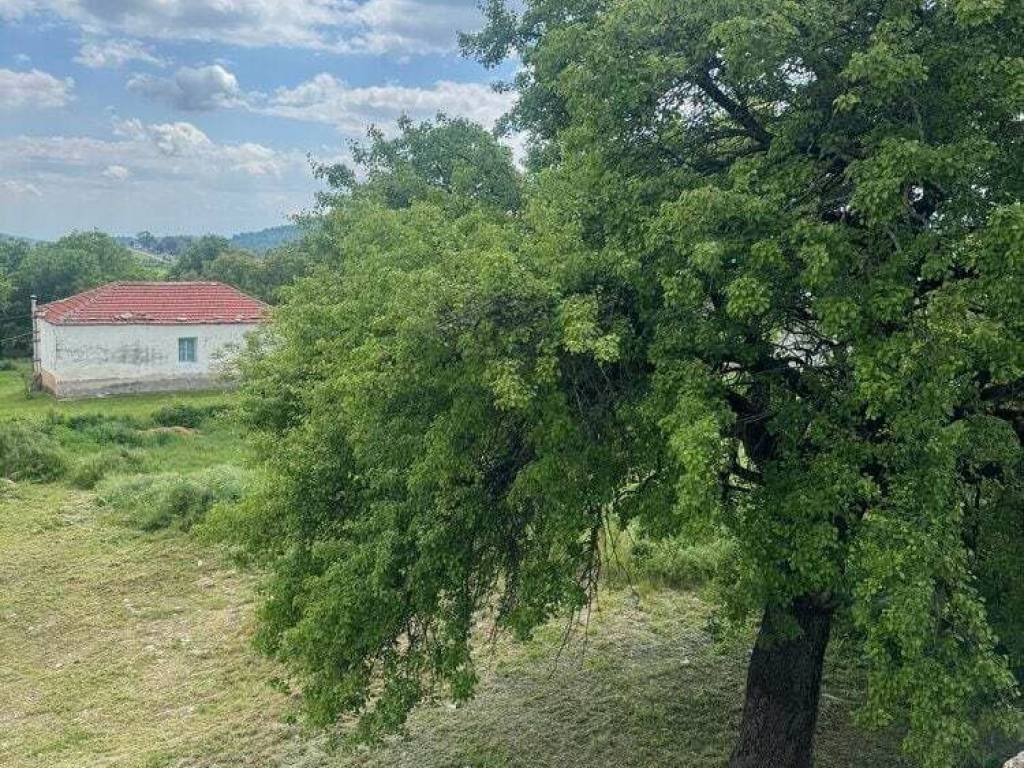 Πίσω πλευρά οικοπέδου