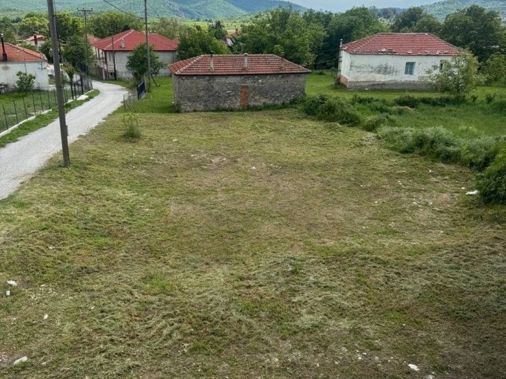 Piso pleyra oikopedoy