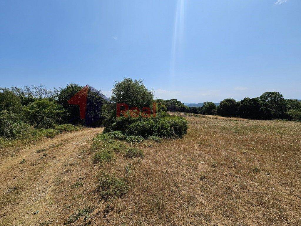 Εξωτερικοι χώροι