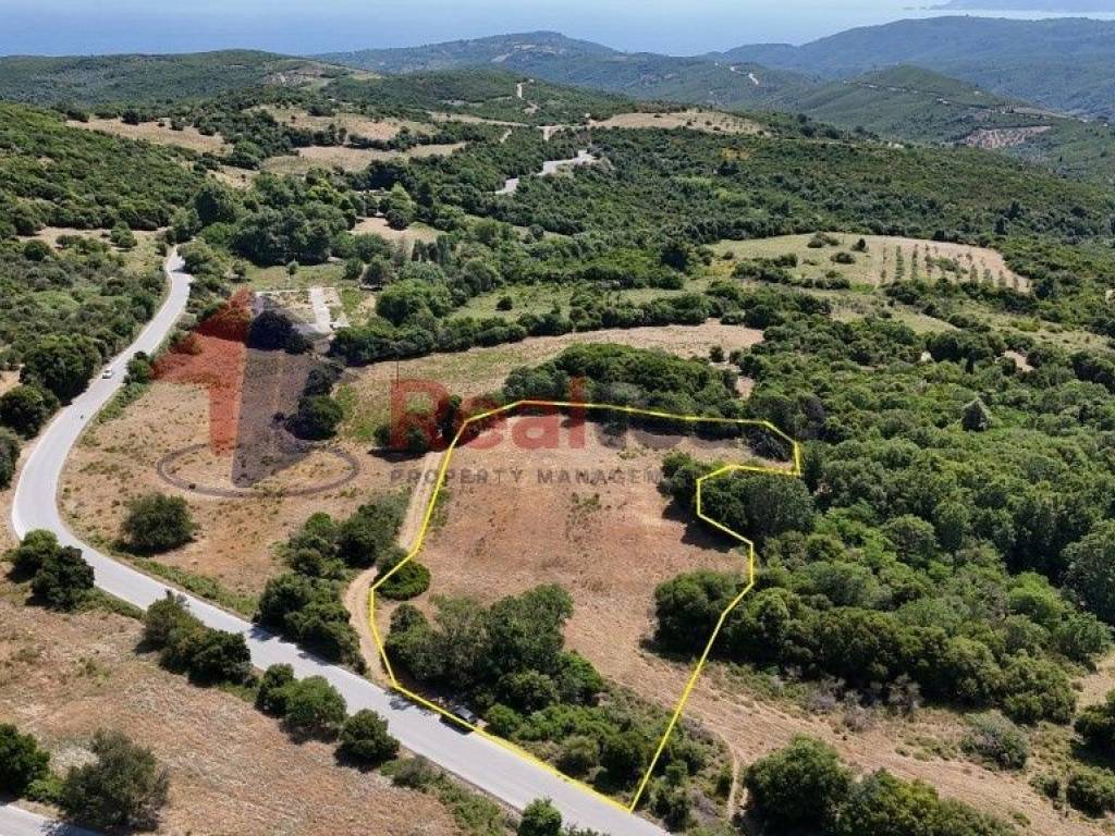 Εξωτερικοι χώροι