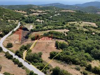 Εξωτερικοι χώροι