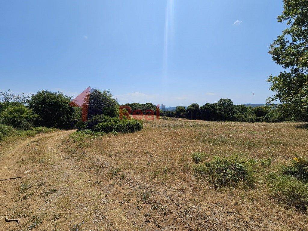 Εξωτερικοι χώροι