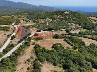 Εξωτερικοι χώροι