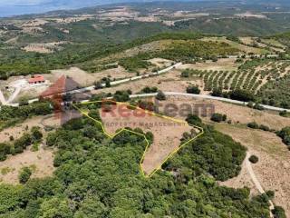 Εξωτερικοι χώροι