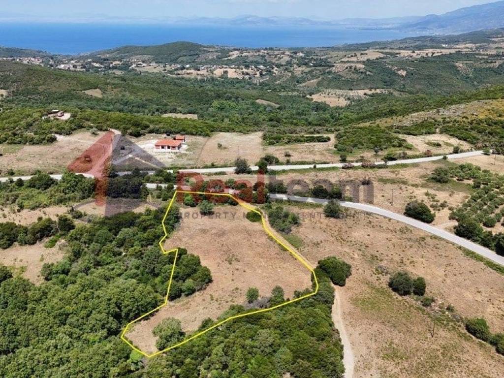 Εξωτερικοι χώροι