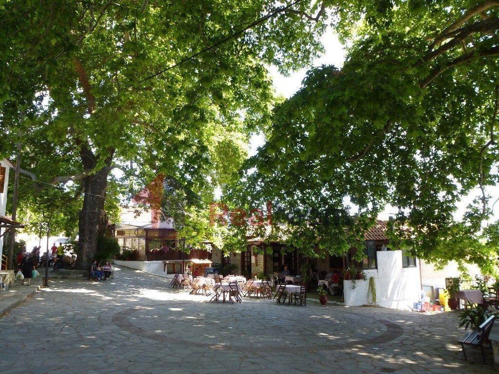 Εξωτερικοι χώροι