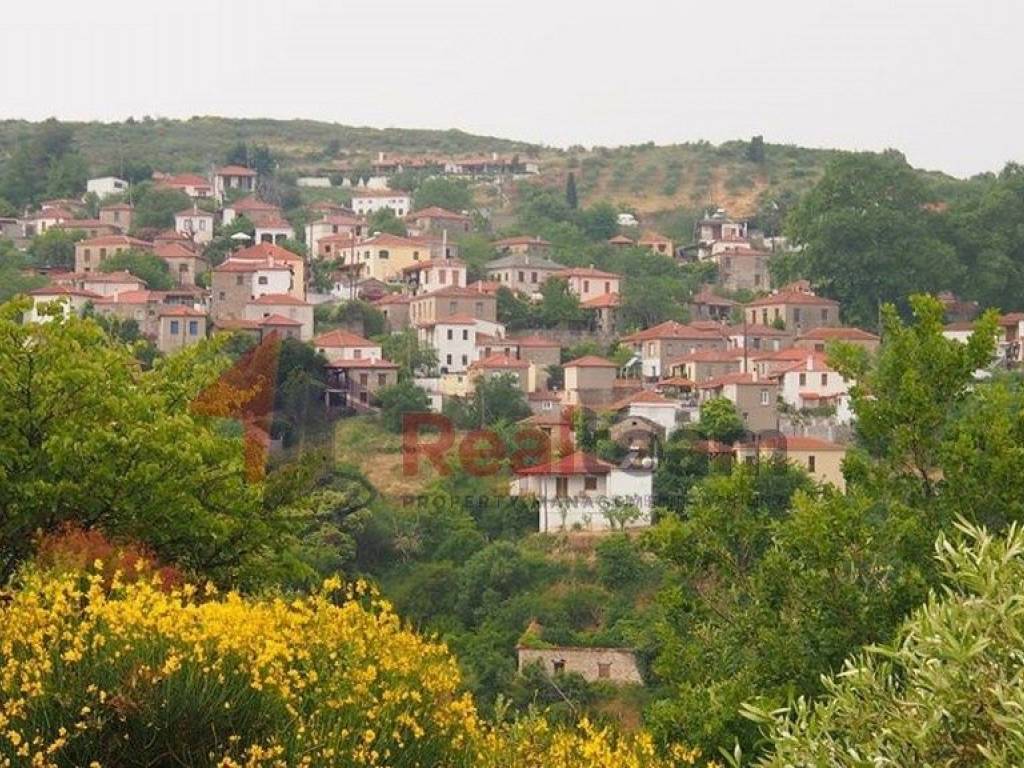 Εξωτερικοι χώροι