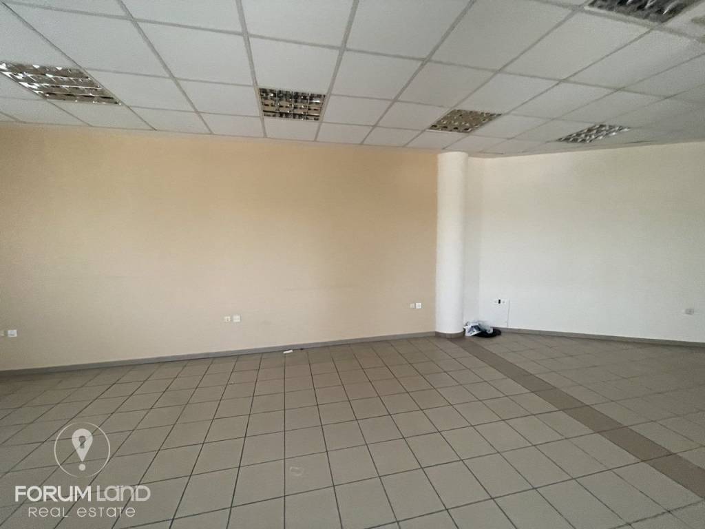 Forumland Real Estate, Epaggelmatikos choros 80t.m.