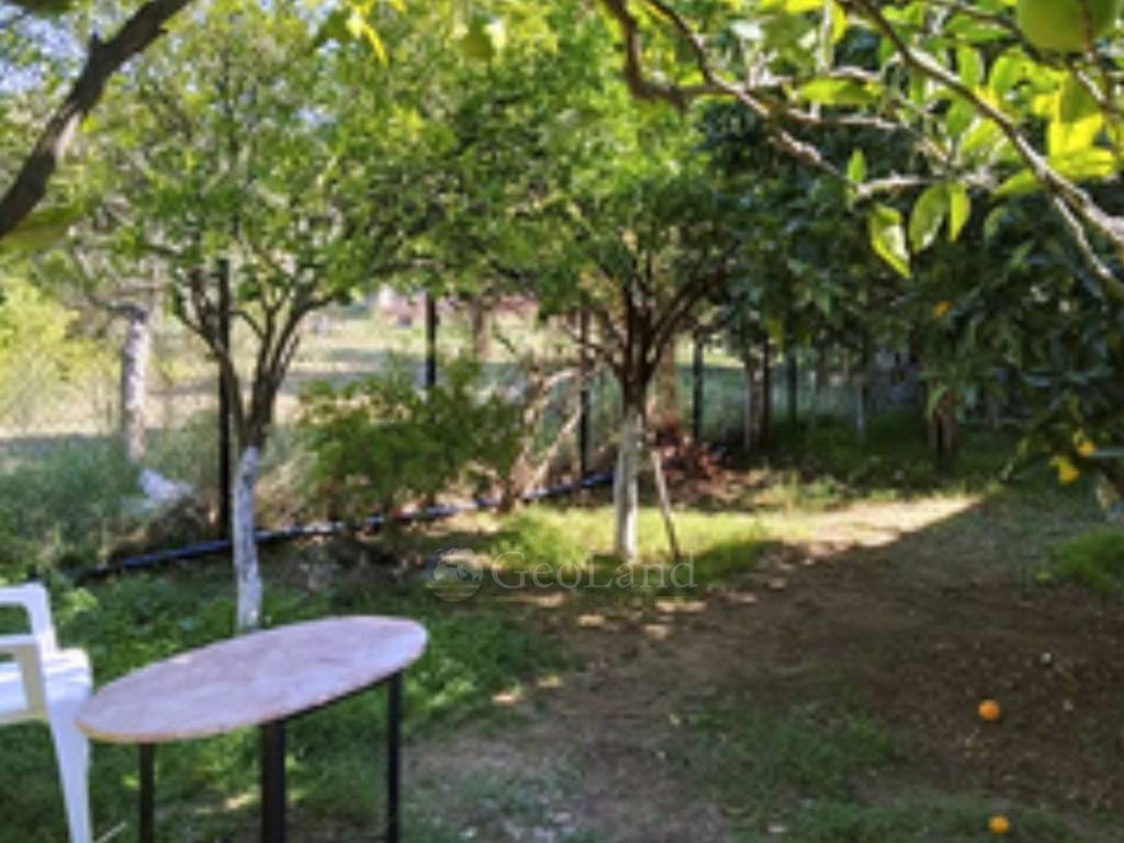 Ύπαρξη ανθρώπου