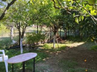 Ύπαρξη ανθρώπου