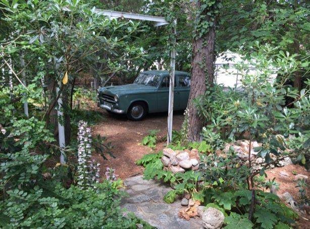 Εξωτερικοι χώροι