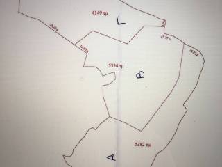 Katatmese toy oikopedoy