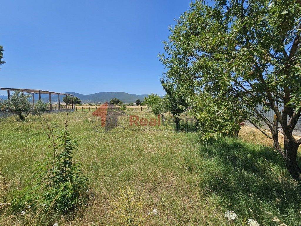 Εξωτερικοι χώροι