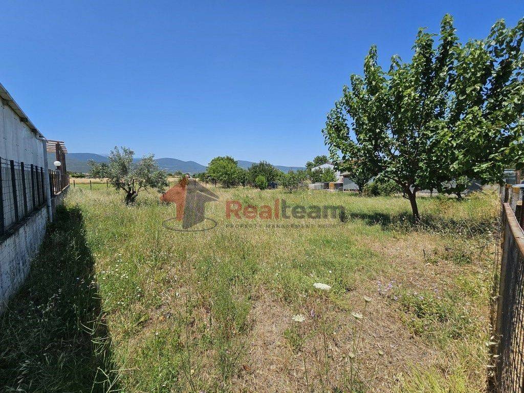 Εξωτερικοι χώροι