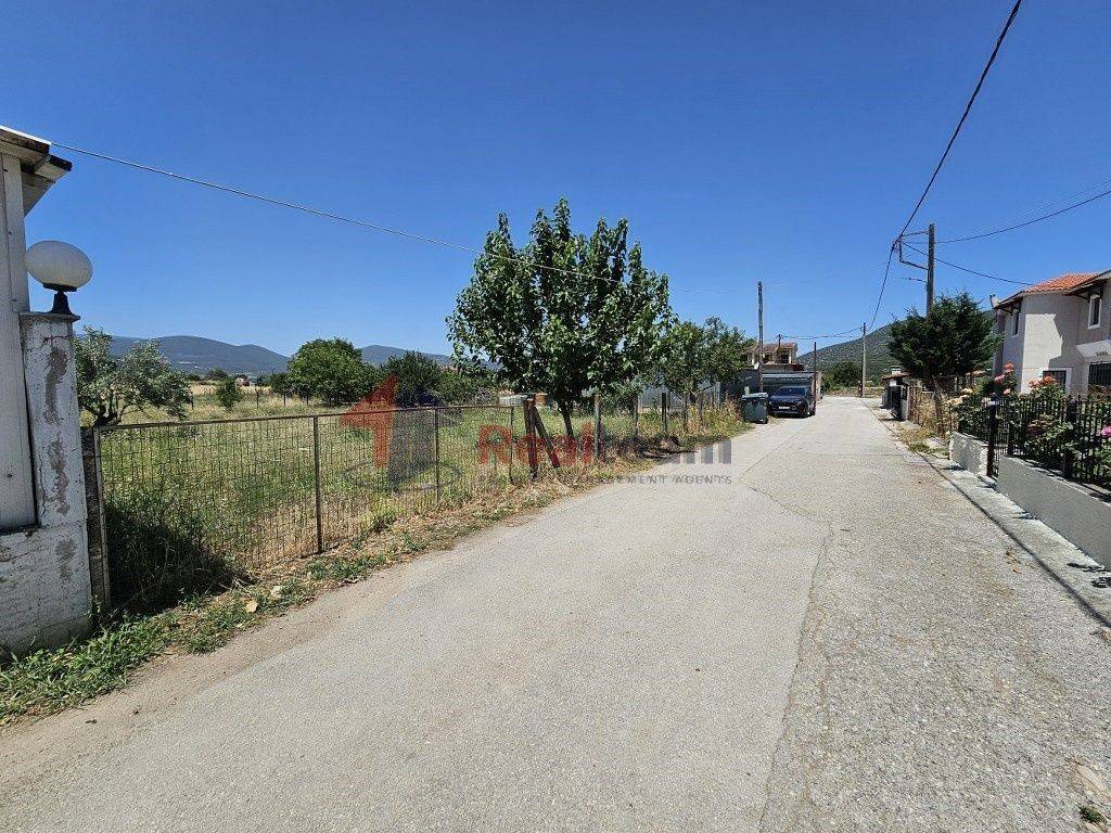 Εξωτερικοι χώροι