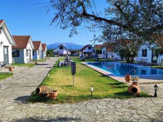 ME MEGALE KOINOCHRESTE PISINA