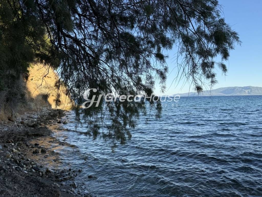 Πολυτελής βίλα με ιδιωτική παραλία προς πώληση Εύβοια