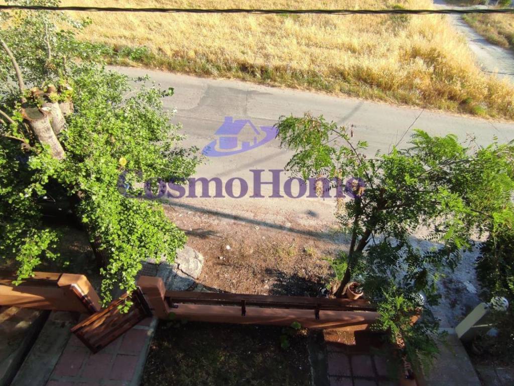 ΚΗΠΟΣ ΑΚΙΝΗΤΟΥ