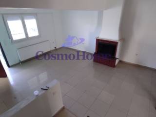 ΣΑΛΟΝΙ | ΤΖΑΚΙ