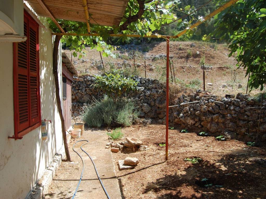 Back of the house outside area