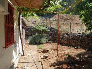 Back of the house outside area