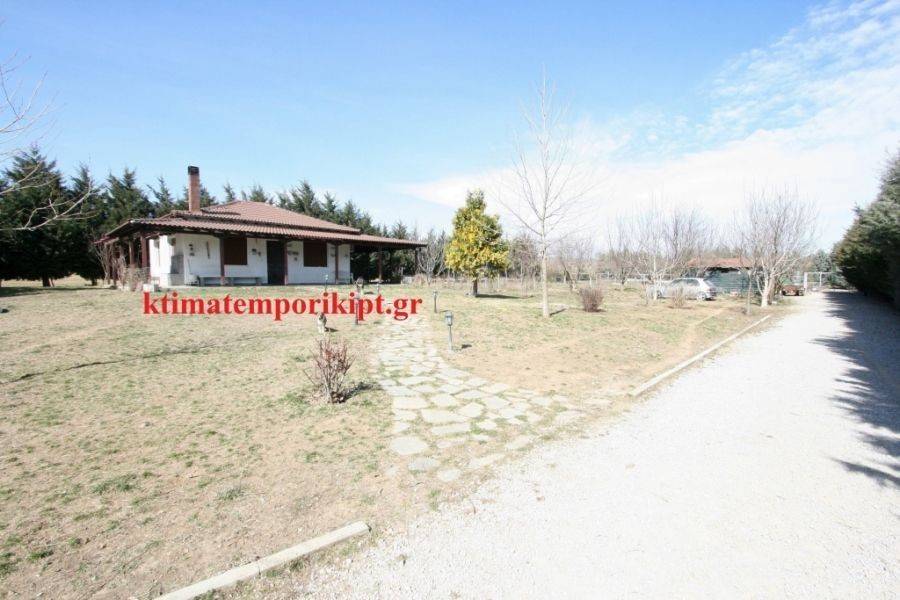 Εξωτερική άποψη